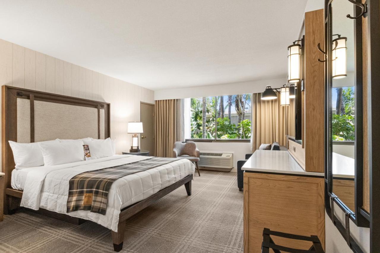 King Room Accessible,1586836151:JPEG